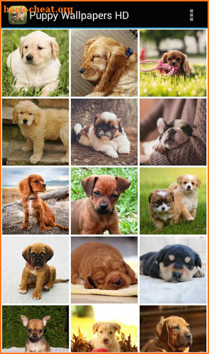 Puppy Wallpapers HD screenshot