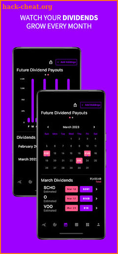 Purple Brick Dividend Tracker screenshot