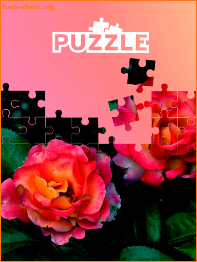 Puzzle de flores screenshot