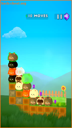 Puzzle Pairs 3D screenshot