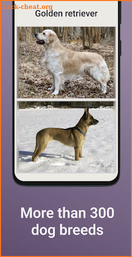 Quiz School | Dog breeds screenshot