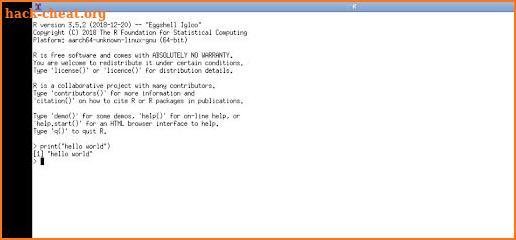 R screenshot
