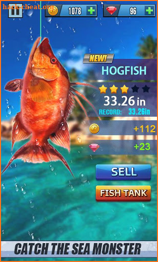 Real Fishing Mania 2019 - Free Excite BigFishing screenshot