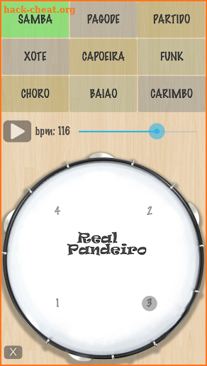 Real Tambourine Brazil screenshot