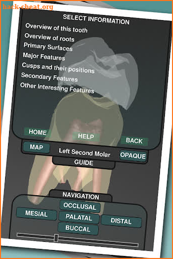 Real Tooth Morphology screenshot