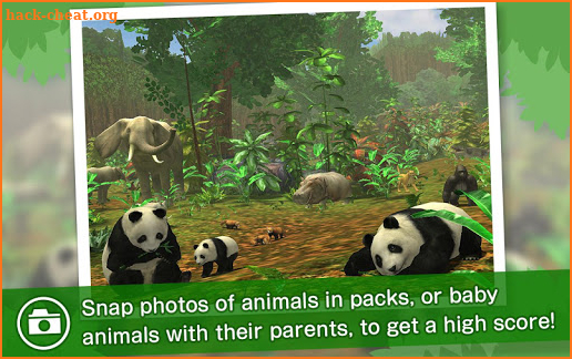 RealSafari : Find the animal screenshot