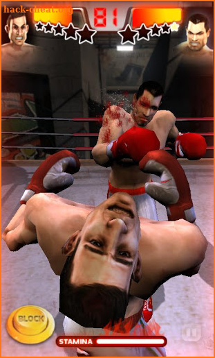 Realtech Iron Fist Boxing screenshot