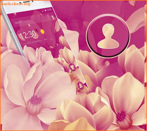 Red Rose Beauty Flower Theme screenshot