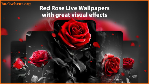 Red Rose Live Wallpapers Themes screenshot