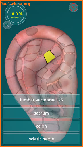 Reflexology Quiz 3D screenshot