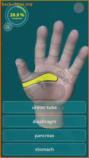 Reflexology Quiz 3D screenshot