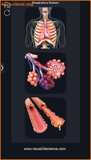 Respiratory System Anatomy screenshot