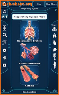 Respiratory System Anatomy Pro. screenshot