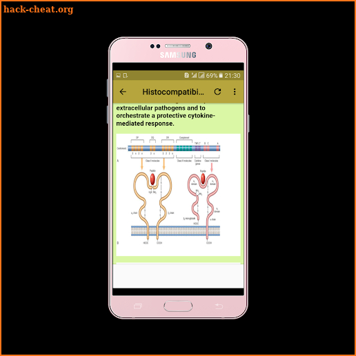 Rheumatology and Immunology screenshot