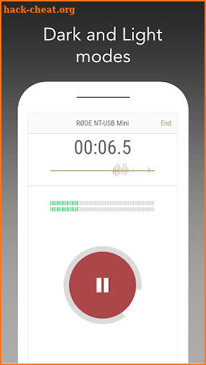 RØDE Reporter screenshot