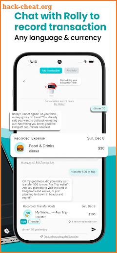 Rolly: AI Money Tracker screenshot