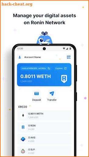 Ronin Wallet screenshot