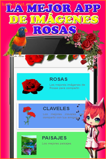 Rosas y Flores de Colores para Enamorar screenshot