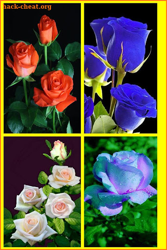 Rosas y Flores de Colores para Enamorar screenshot