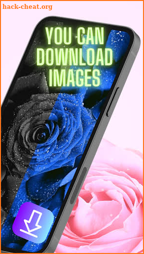 Rose Gallery Flower Wallpapers screenshot