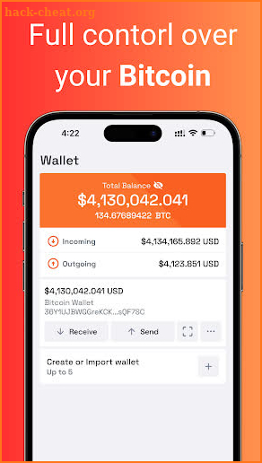 Rust: Bitcoin Wallet - BTC screenshot