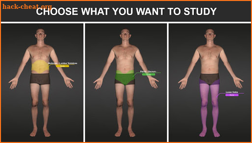 RX - Radiographic Positioning screenshot