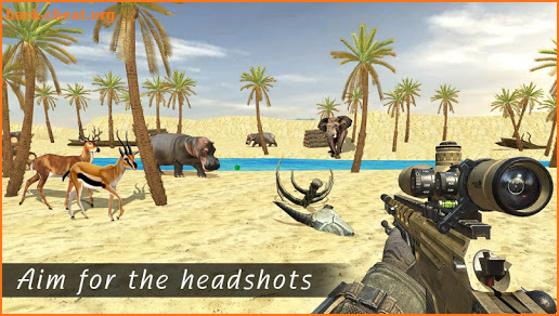 Safari Hunt 3D screenshot