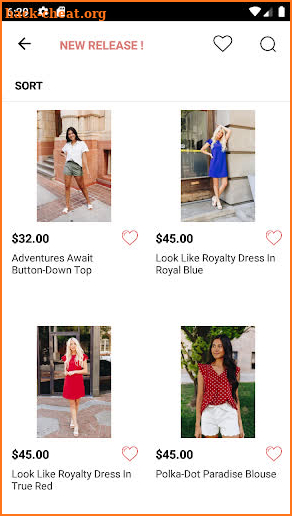 Sally Ann’s Boutique screenshot