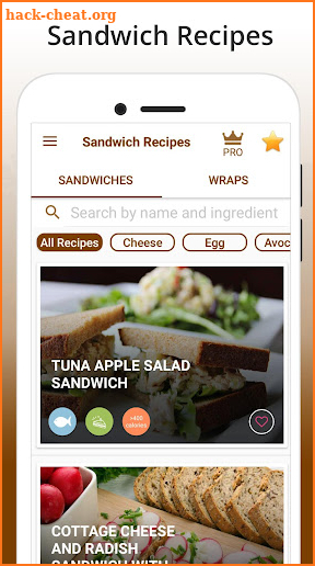 Sandwich Recipes screenshot