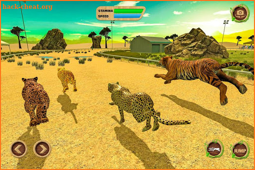 Savanna Animal Racing 3D screenshot