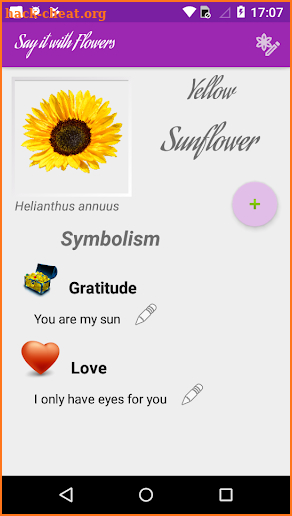 Say it with Flowers Plus screenshot