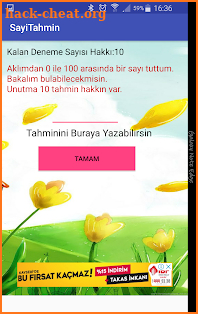 Sayı Tahmin Oyunu screenshot