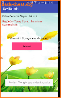 Sayı Tahmin Oyunu screenshot