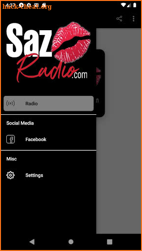 Saz Radio screenshot