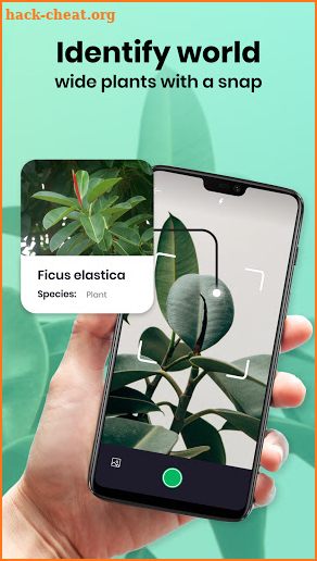 Scan Plant ID: Plant identification free- Tree app screenshot