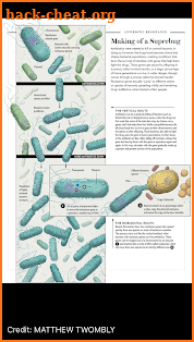 Scientific American screenshot