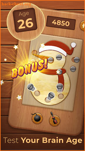 Screw Puzzle: Nuts Bolts Pin screenshot