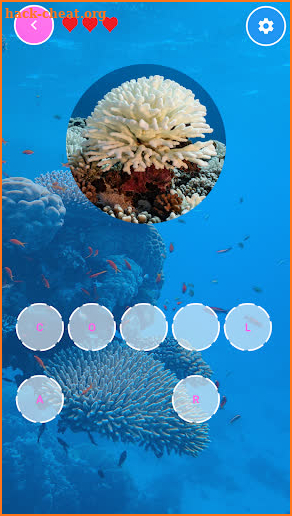 Sea Animals Letter screenshot