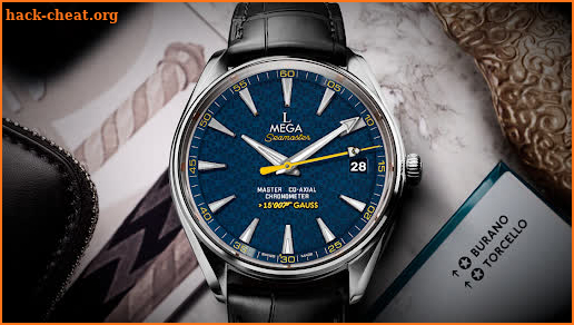 Seamaster Mega Aqua Terra screenshot