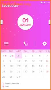 Secret diary (password protected) screenshot