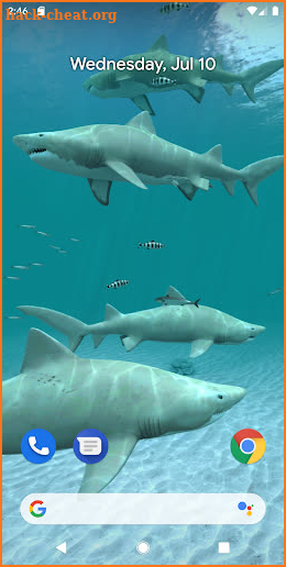 Sharks 3D - Live Wallpaper screenshot