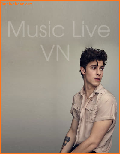 Shawn Mendes Best Offline Music screenshot