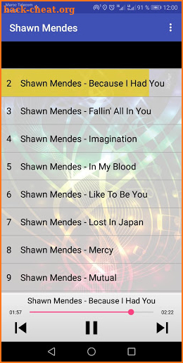 Shawn Mendes Songs screenshot