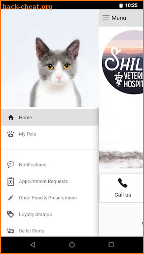 Shilohs Vet Hospital screenshot