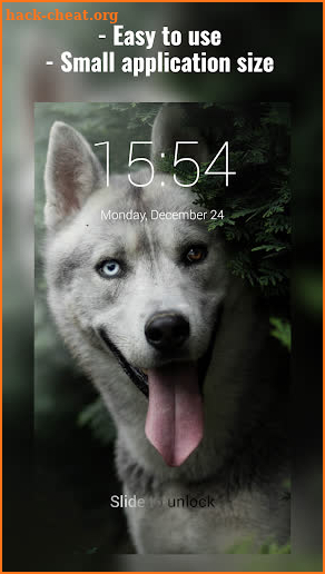 Siberian Husky Lock Screen screenshot