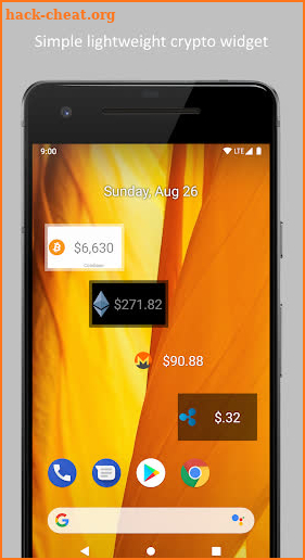 Simple Bitcoin Widget screenshot