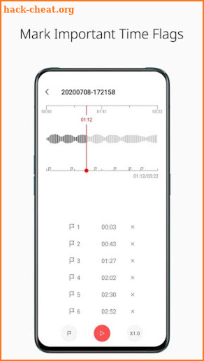 Simple Voice recorder Pro screenshot