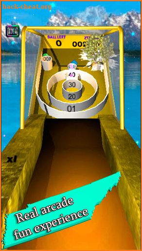 Skee Hole Flick Ball 2019 screenshot