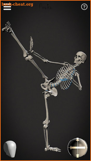 Skelly: Poseable Anatomy Model screenshot