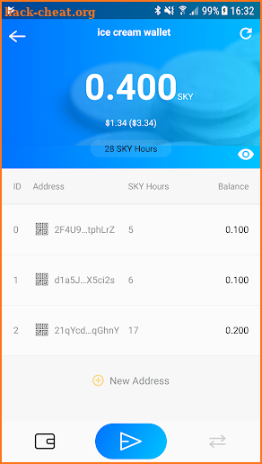 Skycoin Wallet screenshot